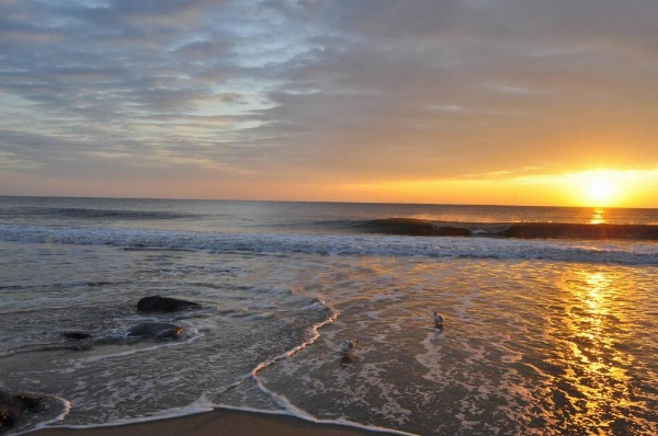 Crystal Beach Hotel image 24
