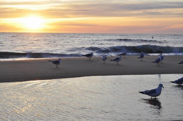 Crystal Beach Hotel image 25